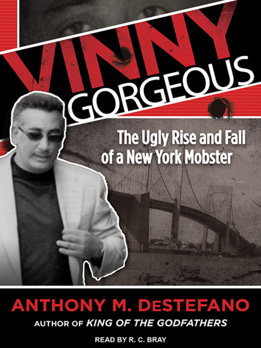 Title details for Vinny Gorgeous by Anthony M. DeStefano - Available